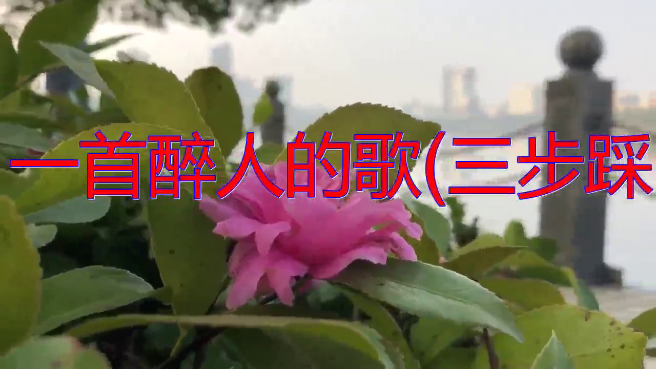 雨柔望海高歌的一首《一首醉人的歌(三步踩)》,很有专业水平