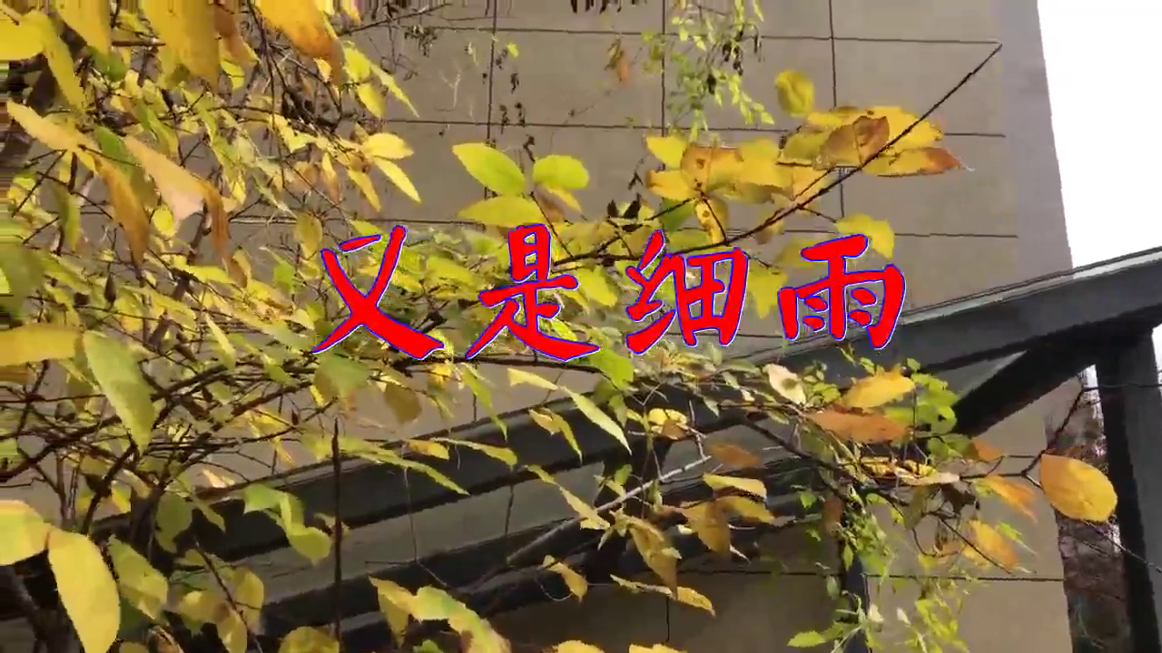 分享韩宝仪的经典歌曲《又是细雨》,富有感染力,唱出新感觉