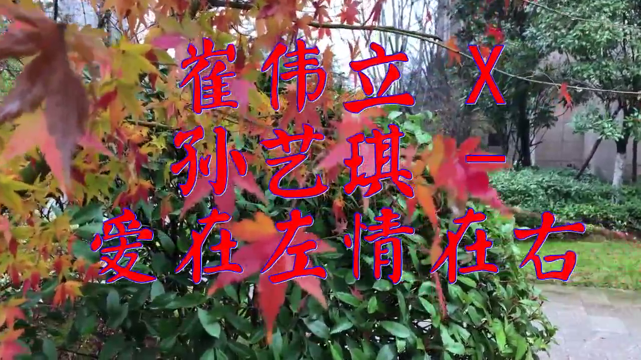 dj何鵬的《崔偉立 x 孫藝琪 - 愛在左情在右》,旋律動聽陶醉了