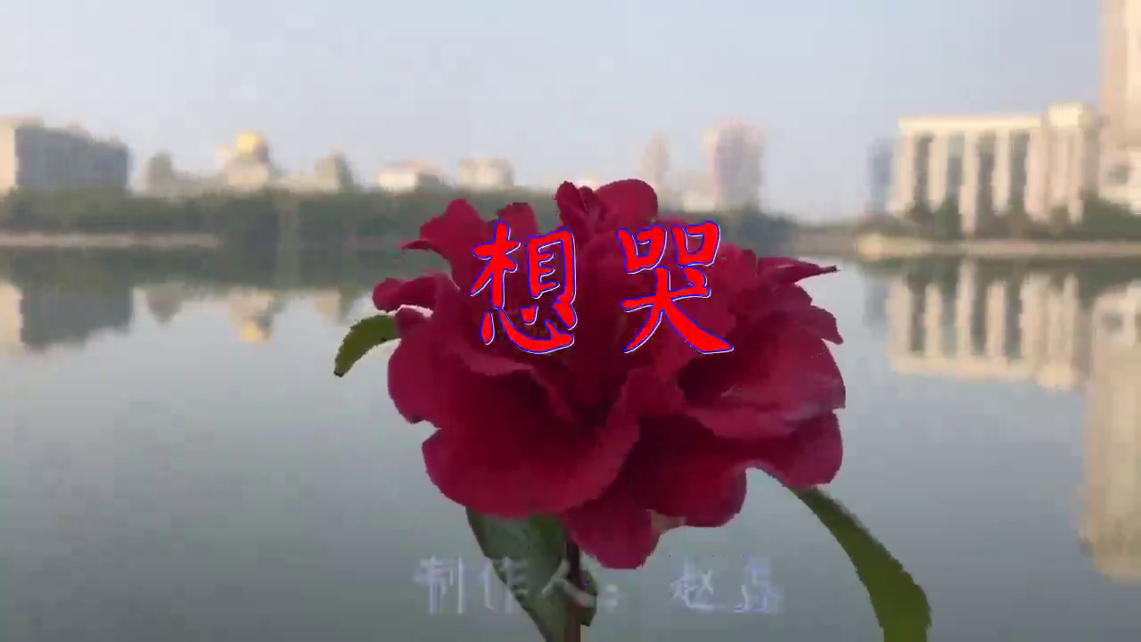 分享赵鑫的经典歌曲《想哭》,深情献唱这首歌,超级好听!