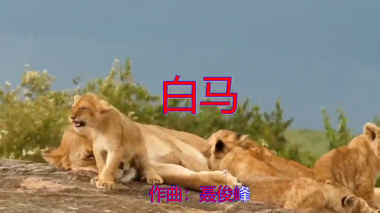 dj何鹏,蓝琪儿的《白马》,听着很过瘾