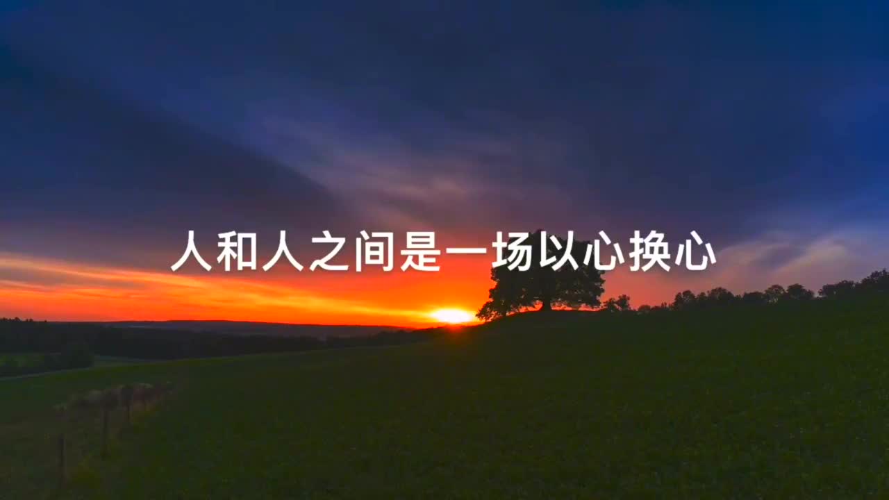人与人之间,只不过是一心换心,将心比心!
