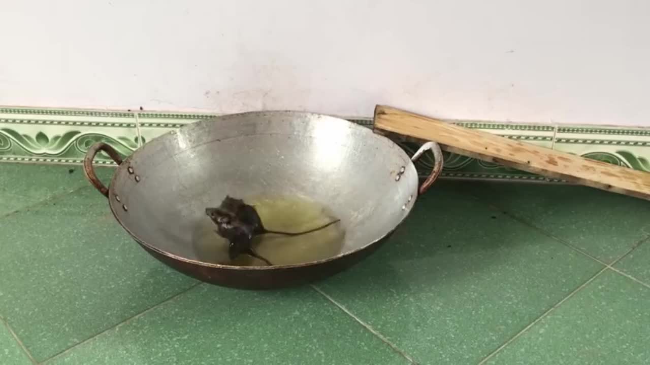 两只贪吃的老鼠被困在油锅里,开始窝里反,最后的画面让人意外!