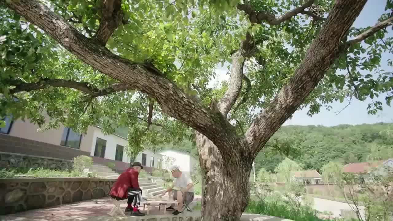 讲解！刘能的狠话