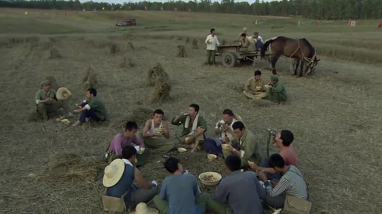 割完麦子,知青们坐在田间吃着窝头就着咸菜,生活艰苦啊
