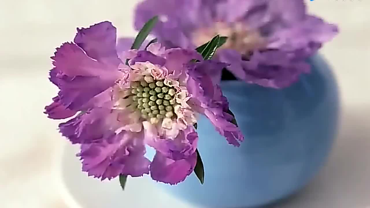 童丽演唱《你的柔情我永远不懂》,真的唱的太棒了,唱出生活