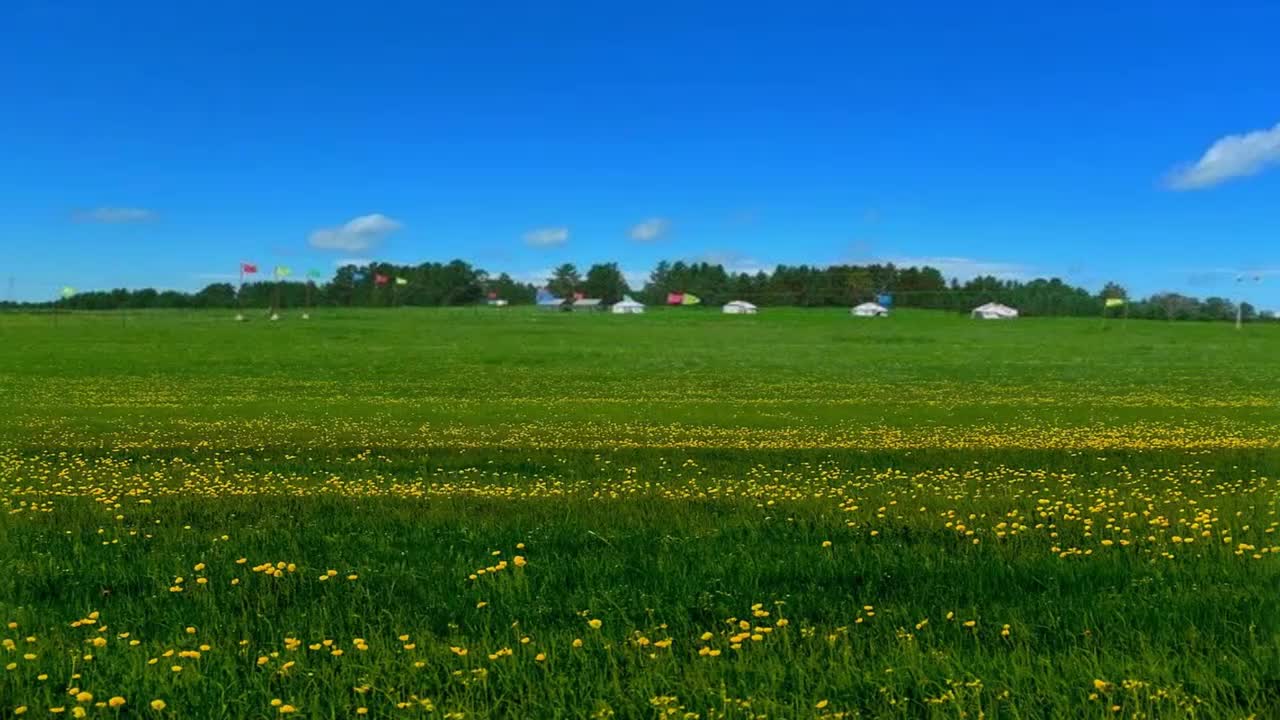 最新流行32步弹跳广场舞《神奇网红》节奏动感,好听