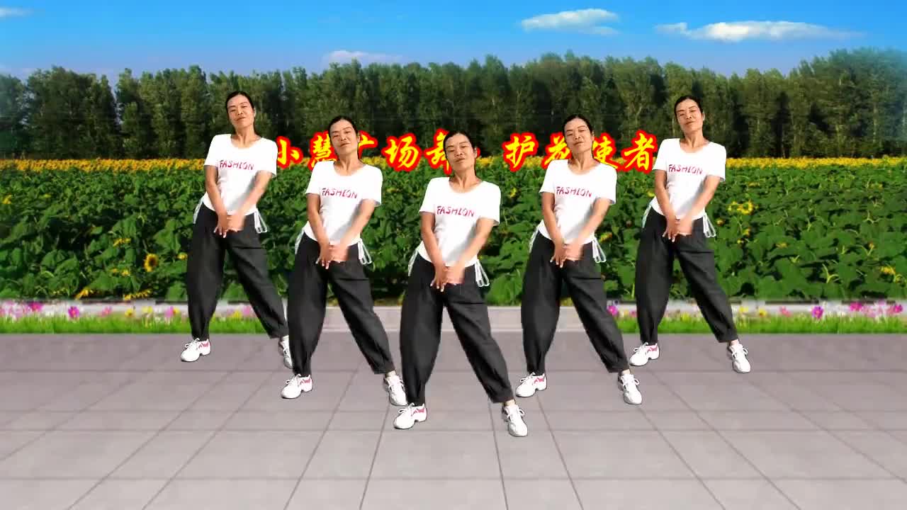 小慧广场舞《护花使者》火爆健身操,动感十足活力四射附教学