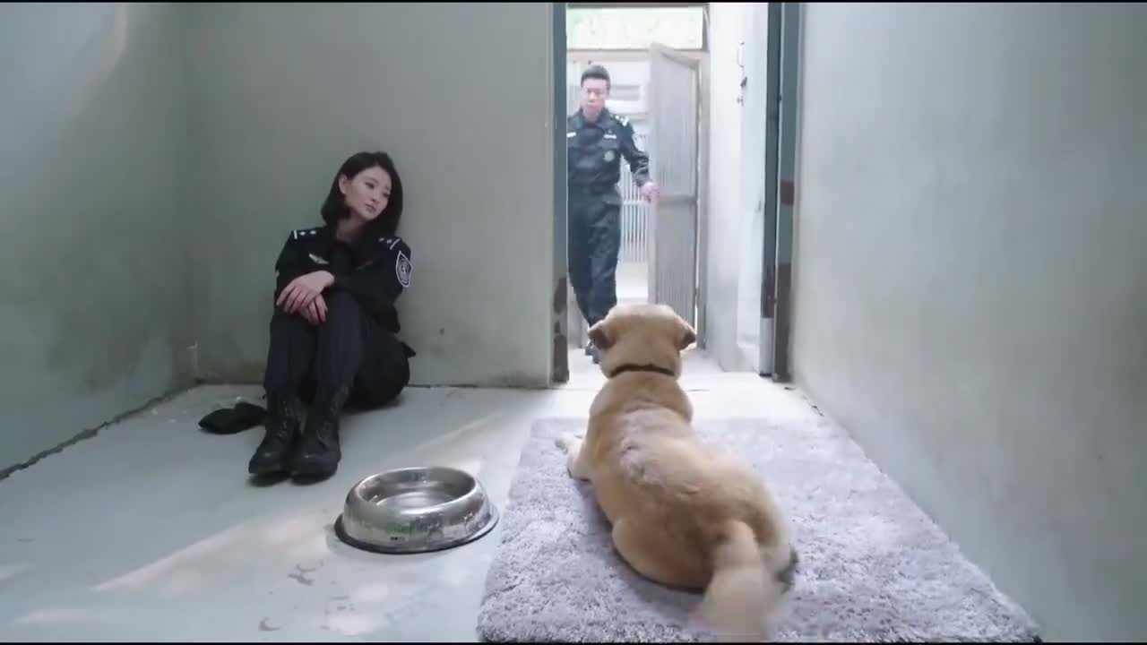 警花与警犬:警花靠在杜飞肩膀上,樱桃静静的看着,说这狗粮不吃