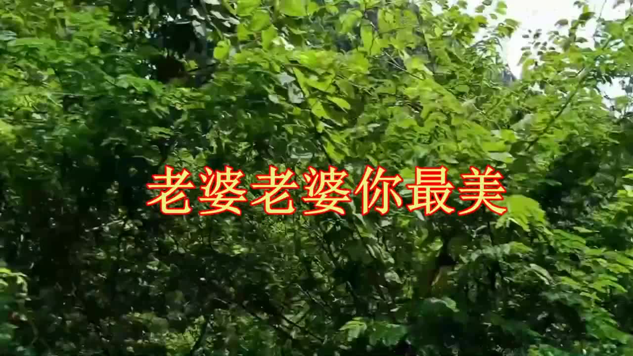 云南山歌《老婆老婆你最美》经典山歌,民间小调
