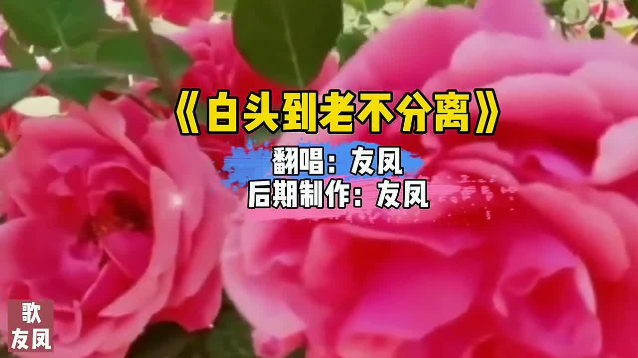 友凤演唱歌曲《白头到老不分离》旋律醉人,风雨坎坷永远陪着你