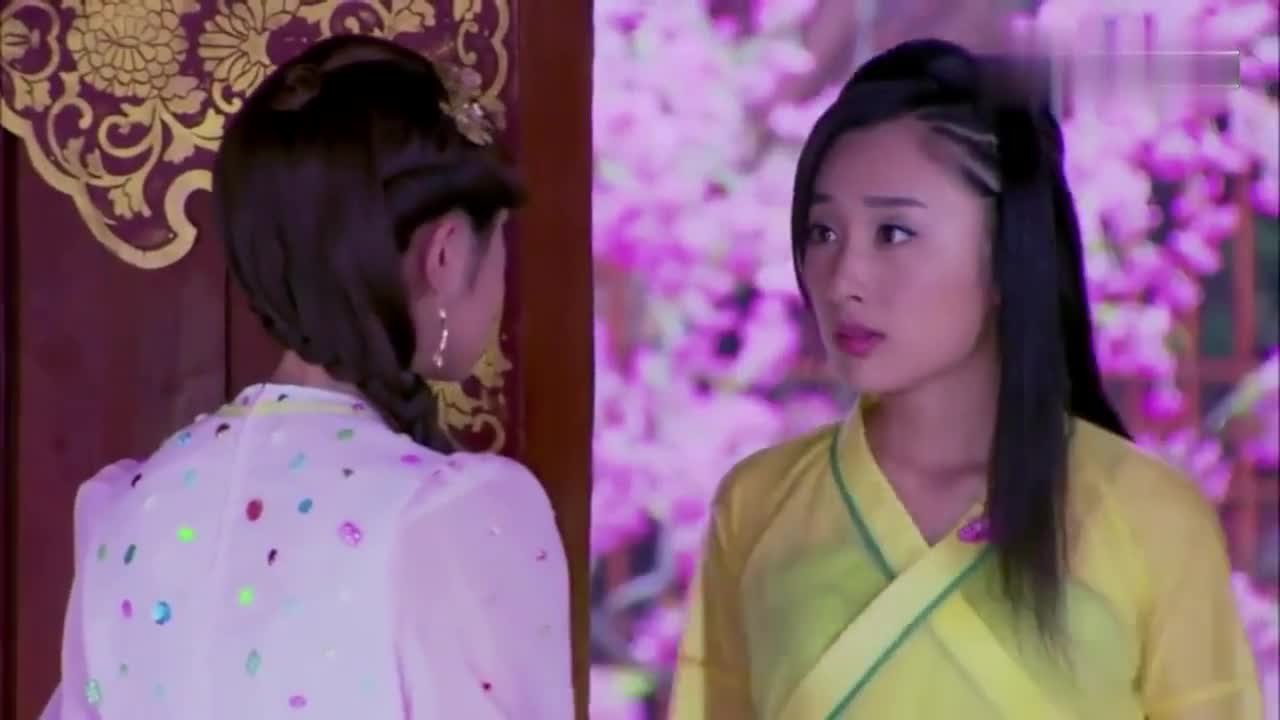 天天有喜:红中皇后逃跑,夜犬要和艾丽一起去树洞国劝王后撤离