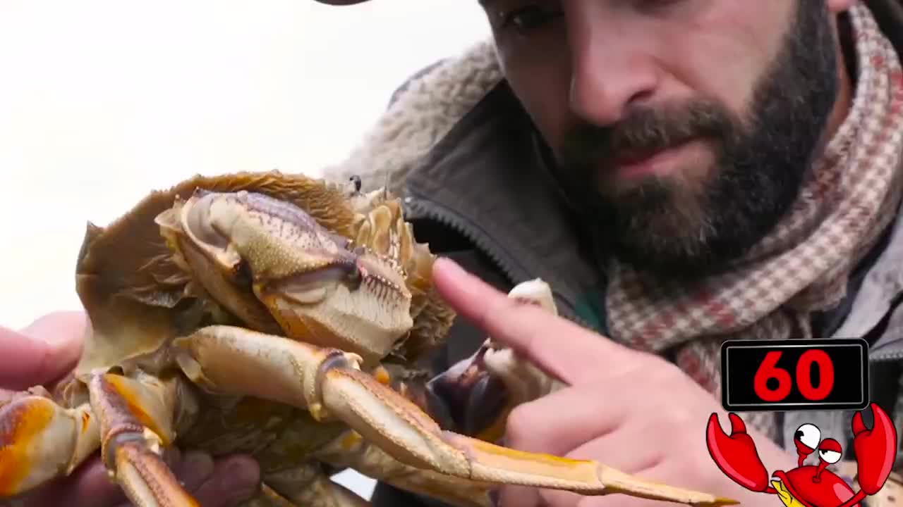 男子挑战被螃蟹夹60秒,手指还保的住吗?|螃蟹_新浪新闻