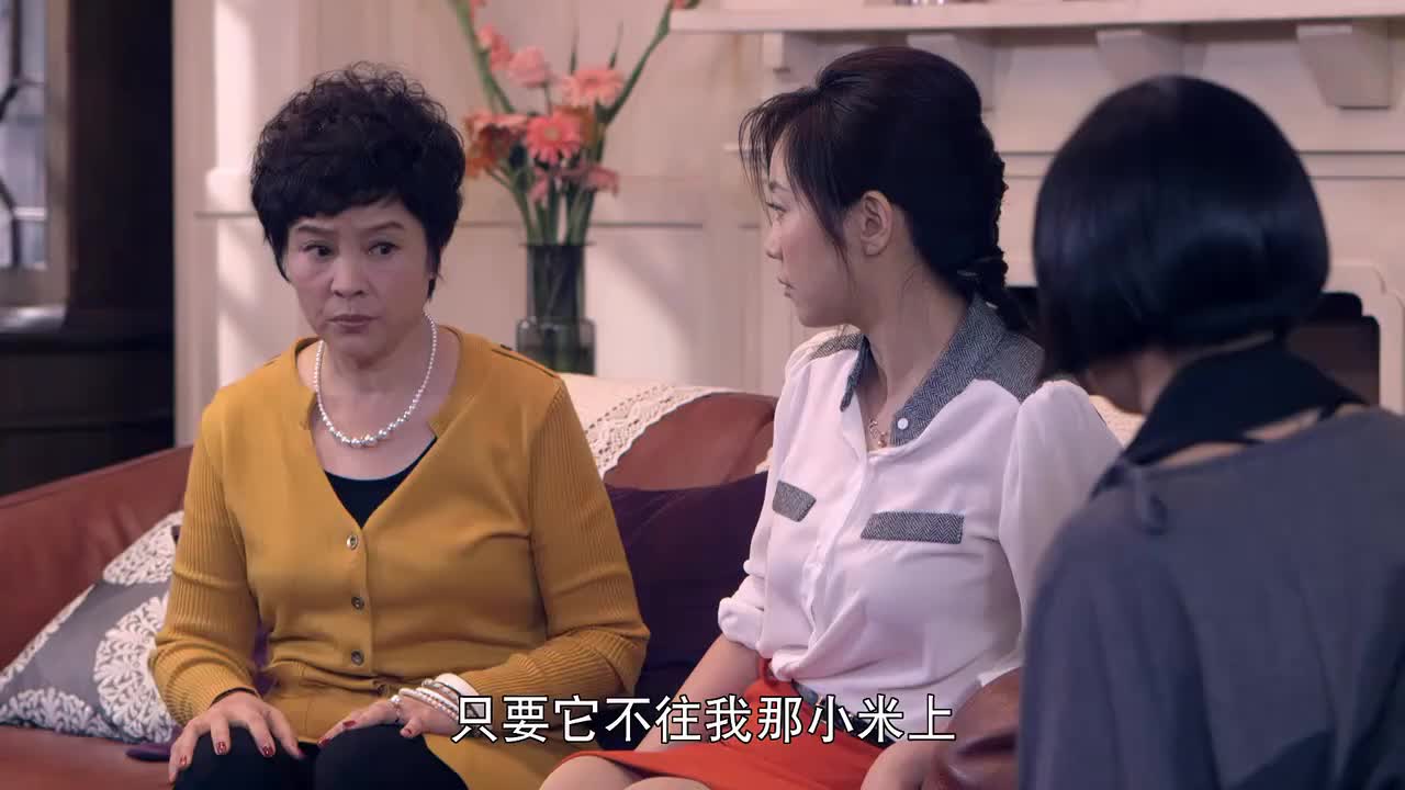 婚姻料理母亲也同意养猫咪只要不在小米上拉粑粑