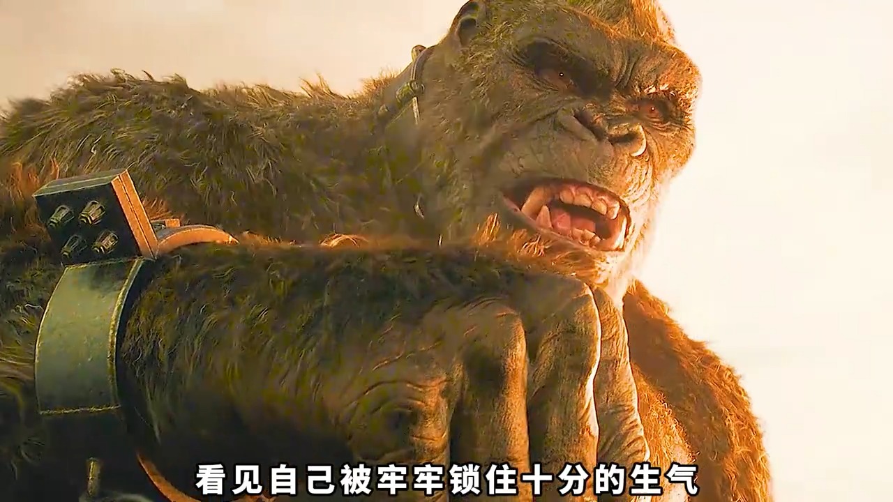 巨型金刚终究是个“弟弟”，被哥斯拉揍得毫无还手之力