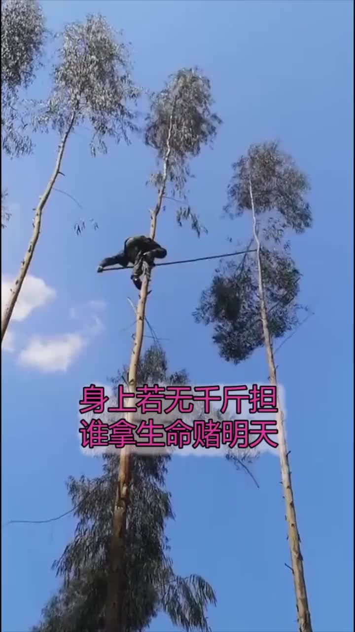 身上若无千斤担?谁拿生命赌明天?