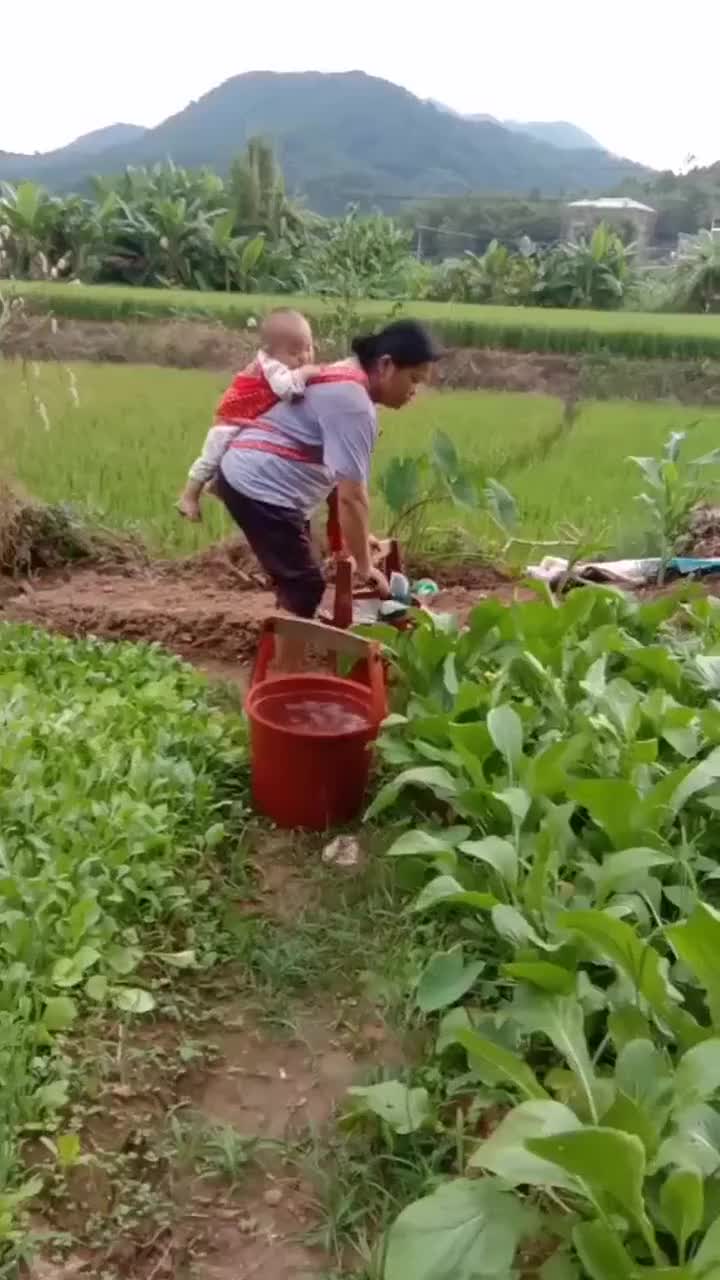 妈妈去地里干活背上还要背着孩子真不容易