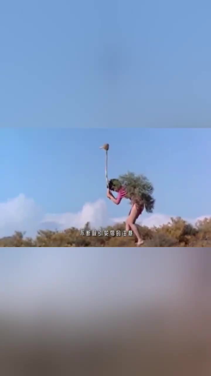 女孩假扮鸵鸟引走鸟妈妈只为让男友偷鸟蛋下一秒意外发生