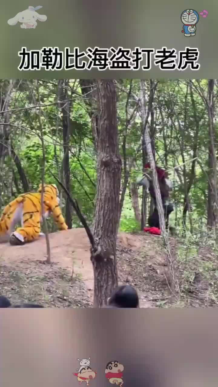 加勒比海盗打老虎