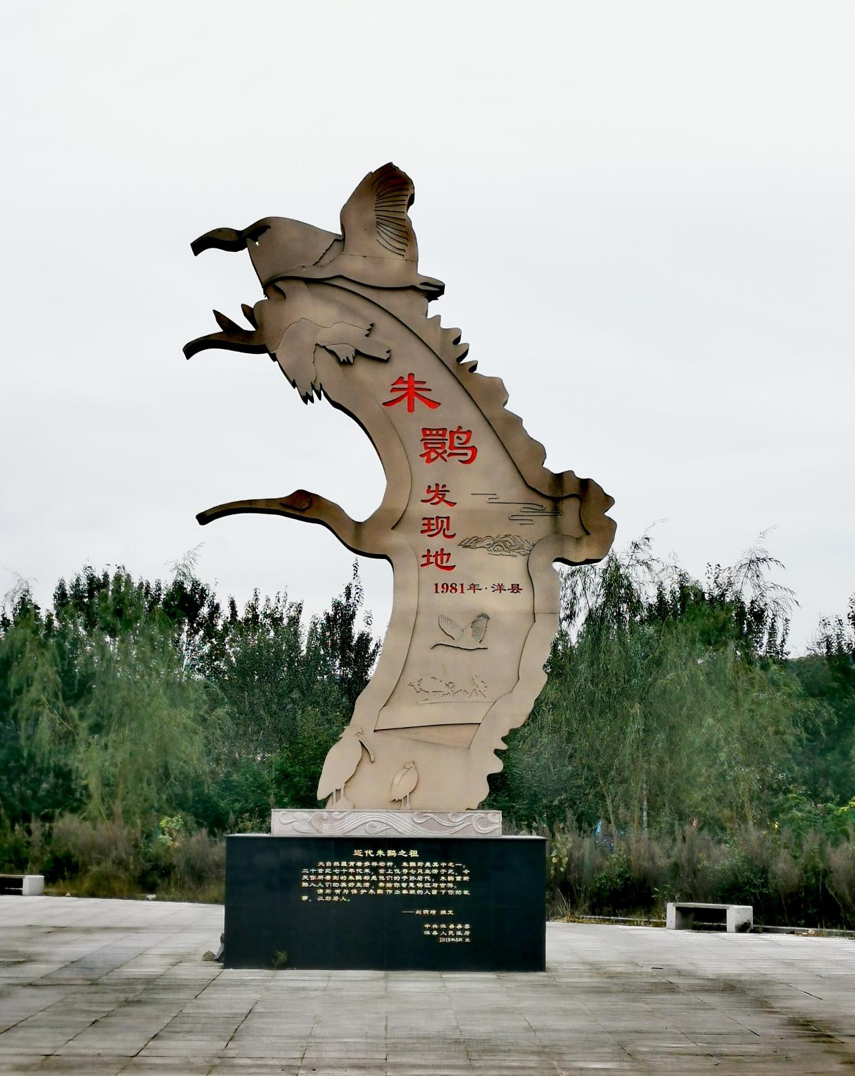 畅游洋县拍摄朱鹮