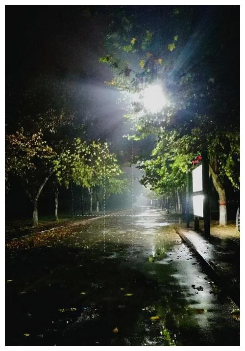 张树宽诗歌:孤独的夜(二首)__财经头条