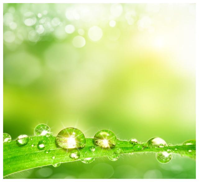 癸水的象意|膀胱|水果业|修鞋匠_新浪新闻