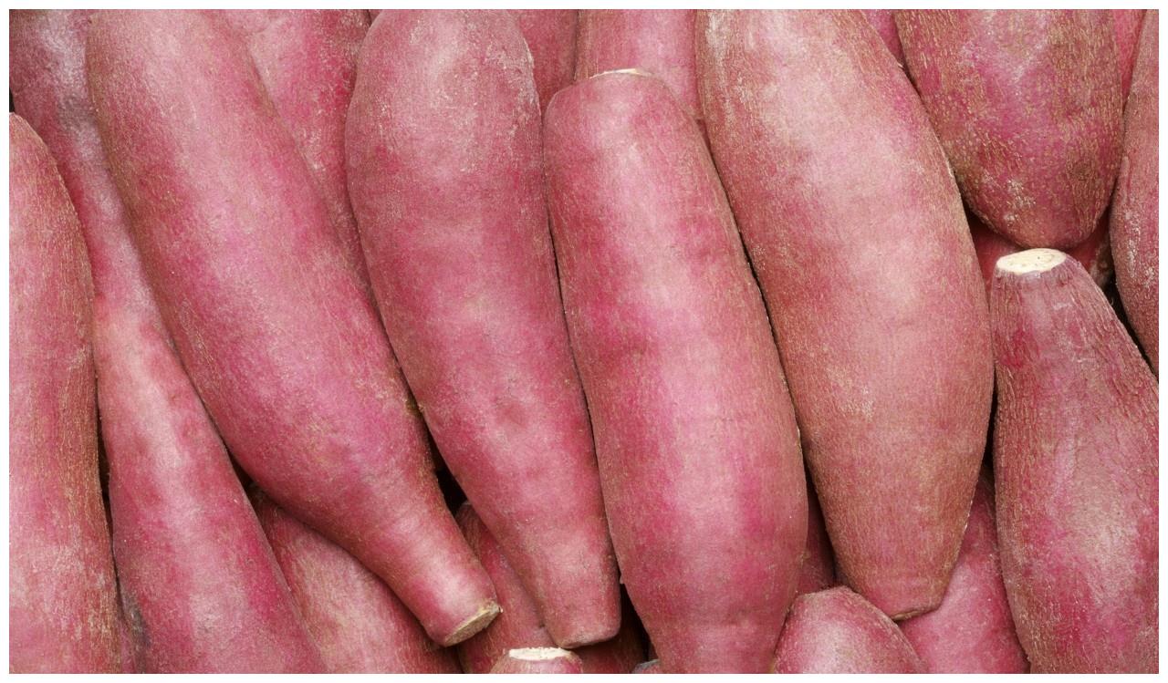 春季肠道疾病多发常吃此物可排脓去腐润肠利便改善习惯性便秘