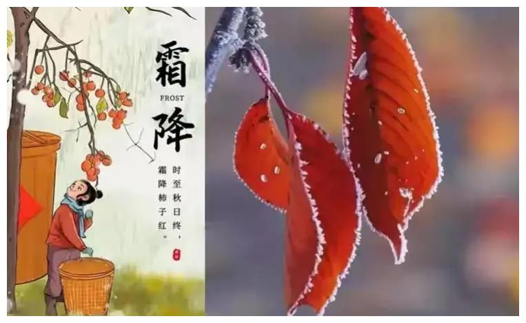 “霜降遇降娄，青禾喂老牛”，何为“降娄”？今冬极端天气多吗？休闲区蓝鸢梦想 - Www.slyday.coM