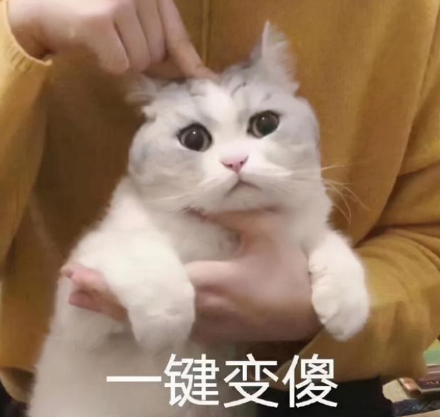 人类幼崽的成长有多感人 人类幼崽的迷惑行为休闲区蓝鸢梦想 - Www.slyday.coM