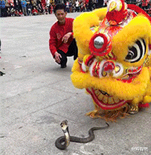 相亲对象带了6个闺蜜来相亲，一共吃了我40万！休闲区蓝鸢梦想 - Www.slyday.coM