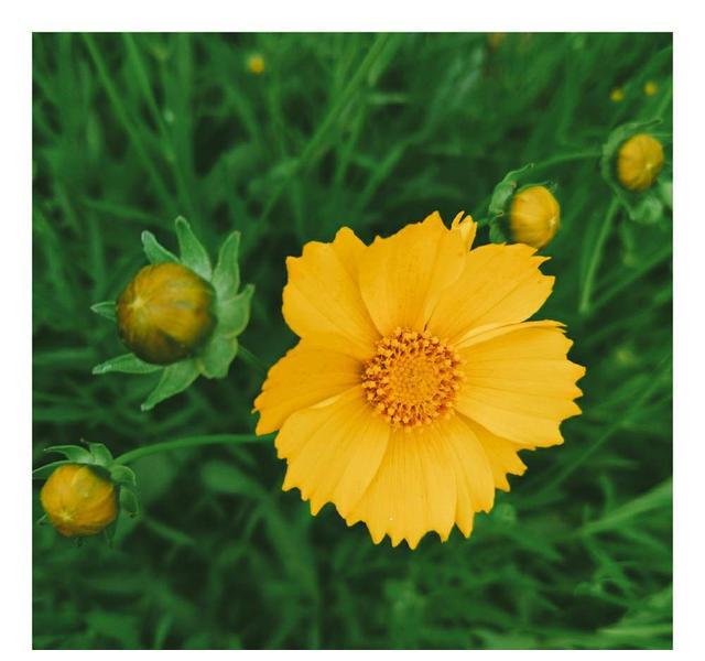 未来五天,寻寻觅觅,喋喋不休,重归于好,不念过往,余生相依偎休闲区蓝鸢梦想 - Www.slyday.coM 未来五天,寻寻觅觅,喋喋不休,重归于好,不念过往,余生相依偎休闲区蓝鸢梦想 - Www.slyday.coM