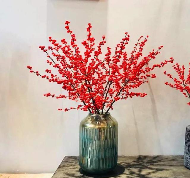 这3种“花”，比兰花漂亮，比绿萝好养，冬季照样开爆盆，超棒！休闲区蓝鸢梦想 - Www.slyday.coM