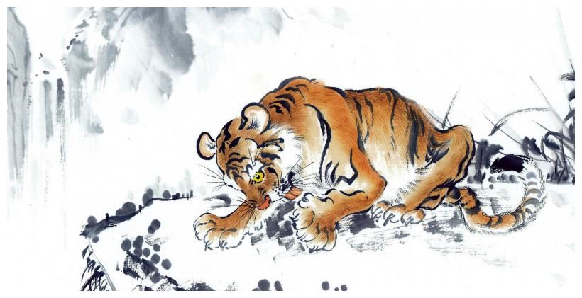 生肖虎的五行性格 金虎 主人 水虎 新浪新闻