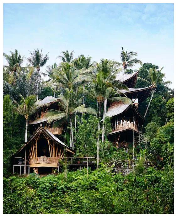 竹子造的卧室,夏天一定十分清凉 能够住在这样一个竹房里,该有多惬意!