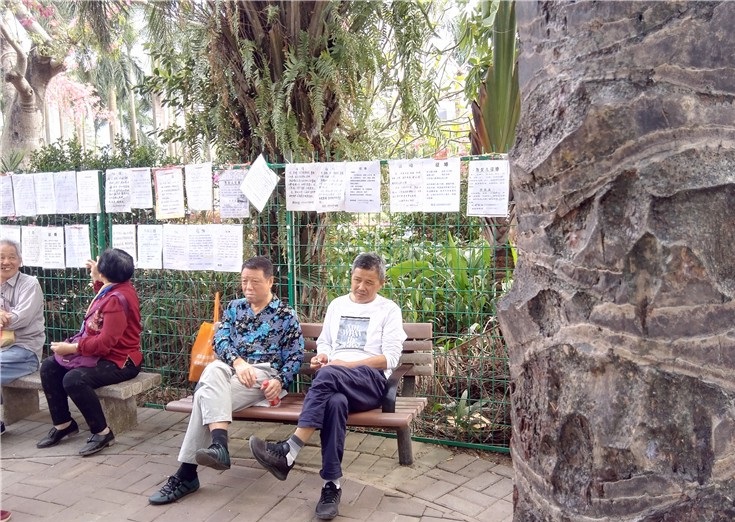 深圳莲花山公园的相亲角,总有那么几个老人在愁闷儿女的终身大事
