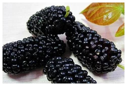 四种黑色水果吃过三种以上的不多