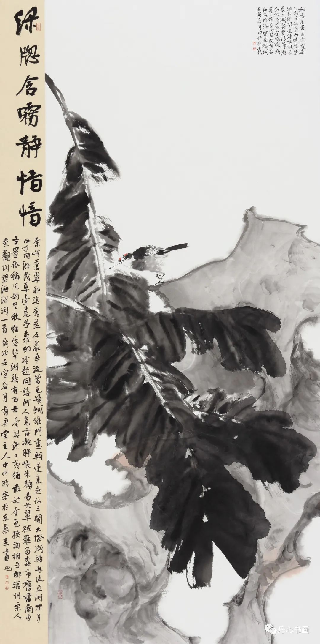 质朴简淡意境悠长花鸟画家陈中林