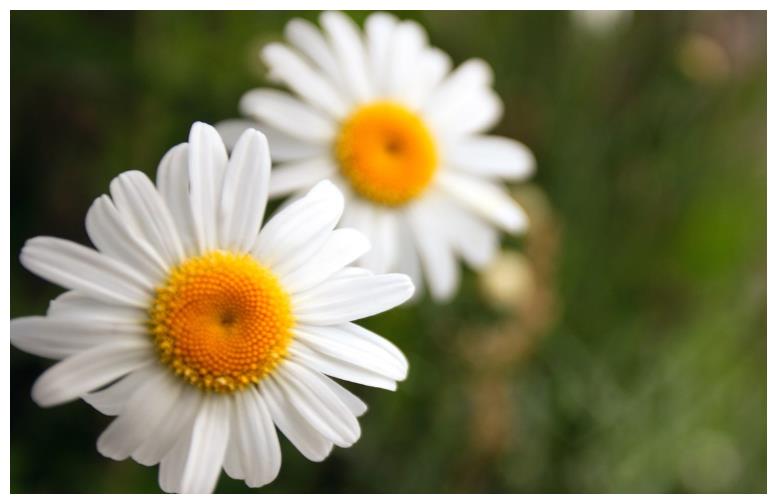 从11月10日开始 很幸运 会时来运转 鲤鱼跳龙门的三大生肖