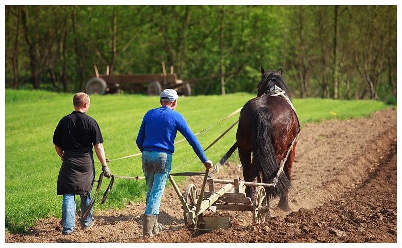 技术突破对于中世纪欧洲农业发展有何益处新型工业部门的用途