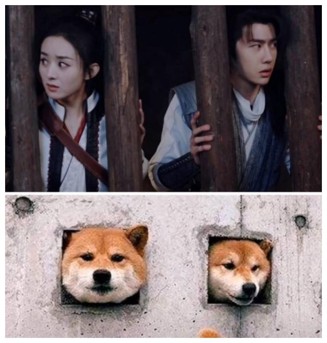 《有翡》表情包出炉了,剧里剧外段子手太多,看得眼花缭乱