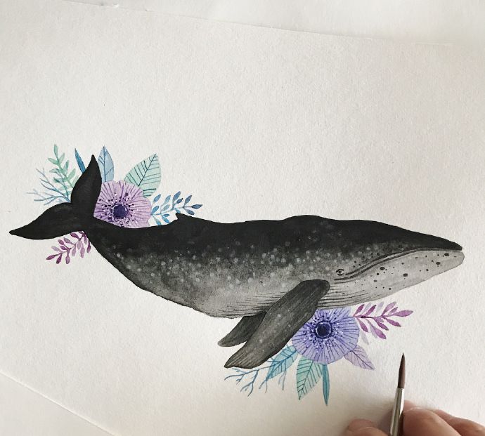 一组小清新风水彩鲸鱼画,每一张都好可爱呀_高清图集_新浪网