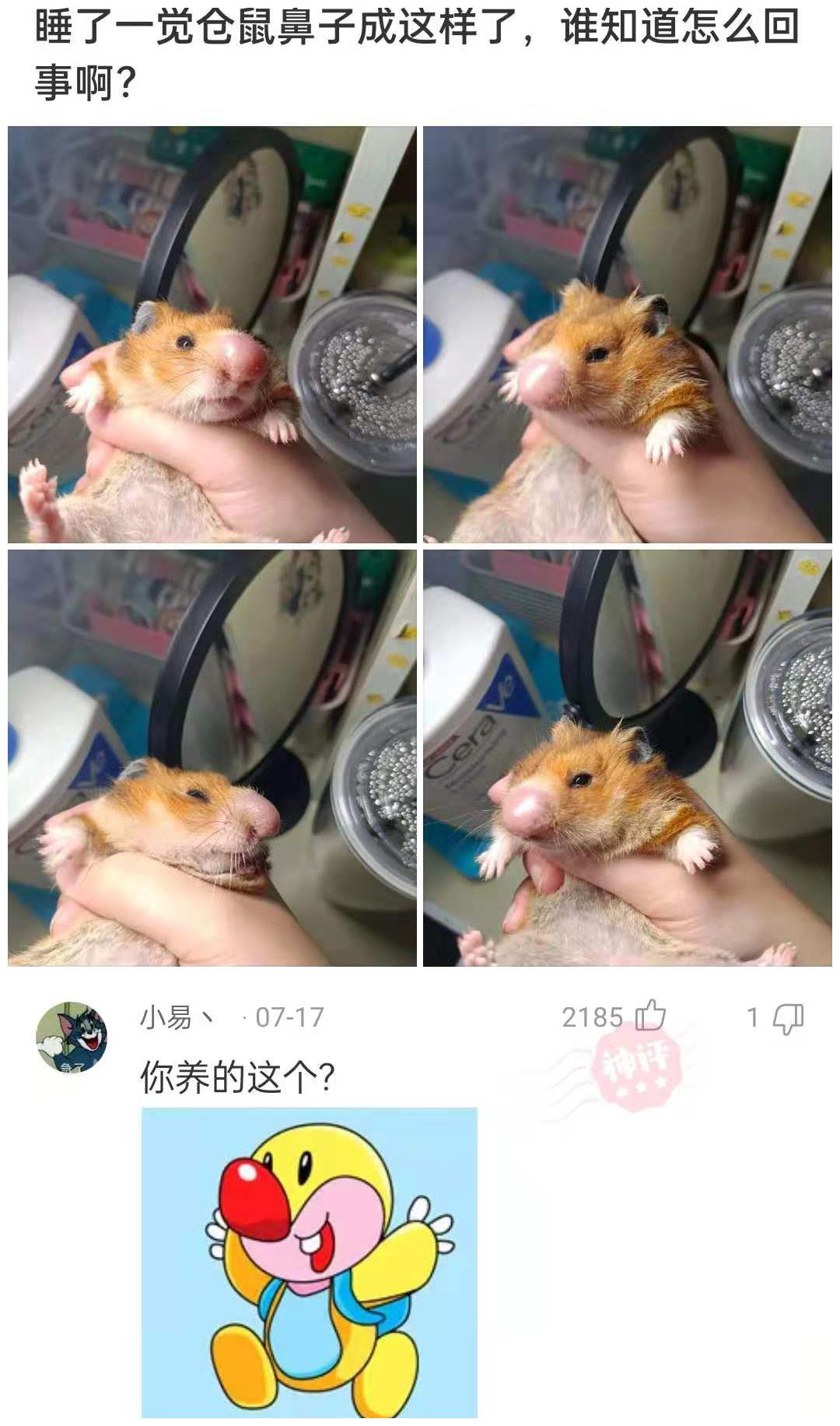 是不是可以发明一种纸币，这样手机没电的话也可以买东西？休闲区蓝鸢梦想 - Www.slyday.coM