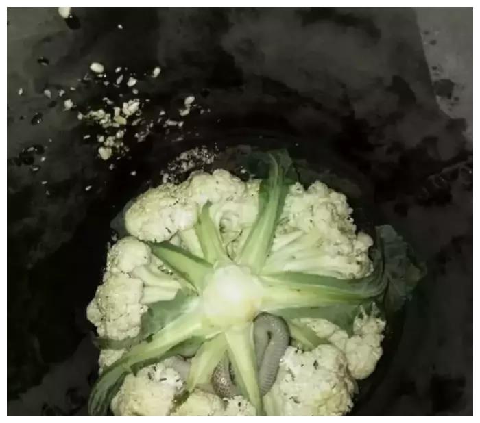 5张让你头皮发麻的图片都是真实场景坚持看完你是大哥