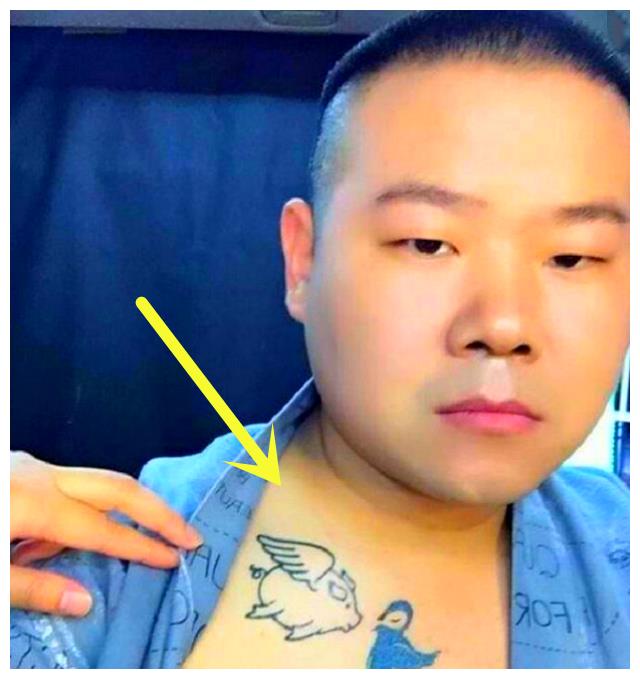 明星纹身有什么含义胡歌一看就是孝子他是纹了个小猪佩奇