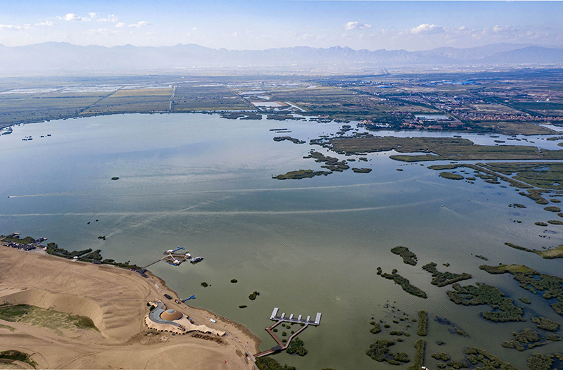 初秋时节,位于宁夏银川市以北42公里处的石嘴山市平罗县境内的沙湖