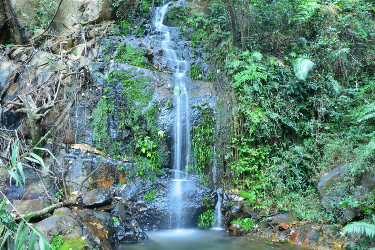 探访南丹山森林王国,观赏茂密森林与飞瀑流泉,体验丛林飞跃