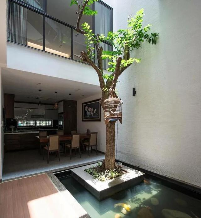 向下挖坑做鱼塘,别墅天井都能这么利用,哪一个开发商能想得到?