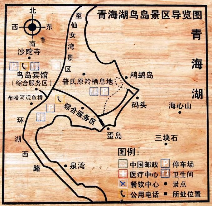 宏迅优行走进青海湖鸟岛