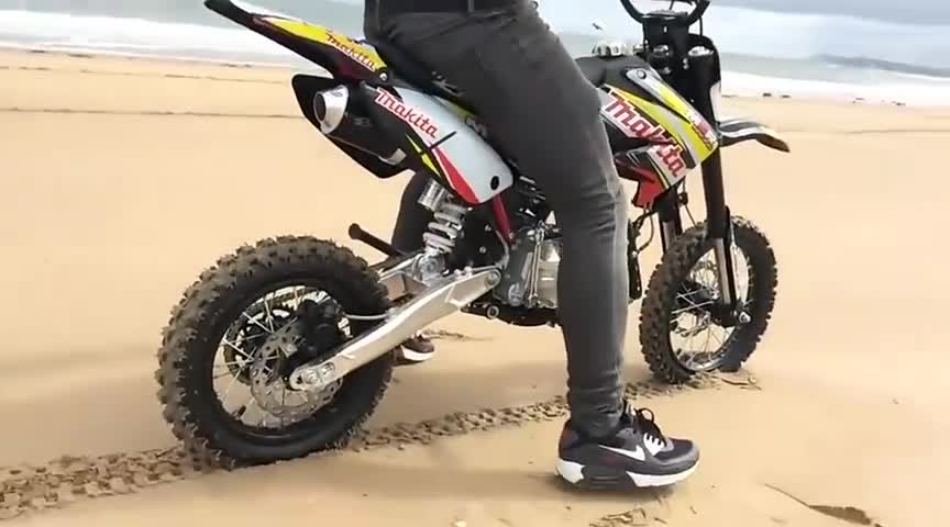 两国外男子骑车带着一头狗熊在街上行走,回头率不是一般的高