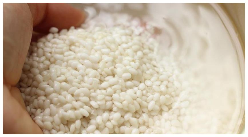 包粽子,糯米泡多久才能包?多数人不懂,难怪下锅就漏米,还夹生